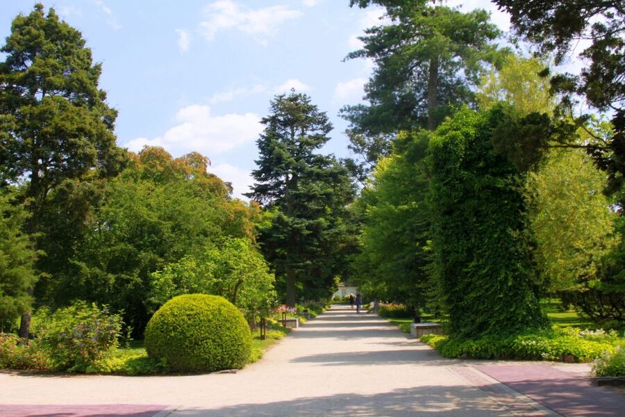 From Warsaw: Tour to Chopin's Birthplace - Żelazowa Wola - Should You Book the Chopin Birthplace Tour to Żelazowa Wola?