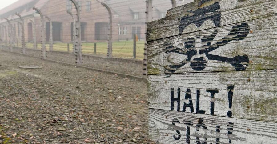 From Wrocław: Full-Day Auschwitz-Birkenau Guided Tour - Key highlights worth planning for