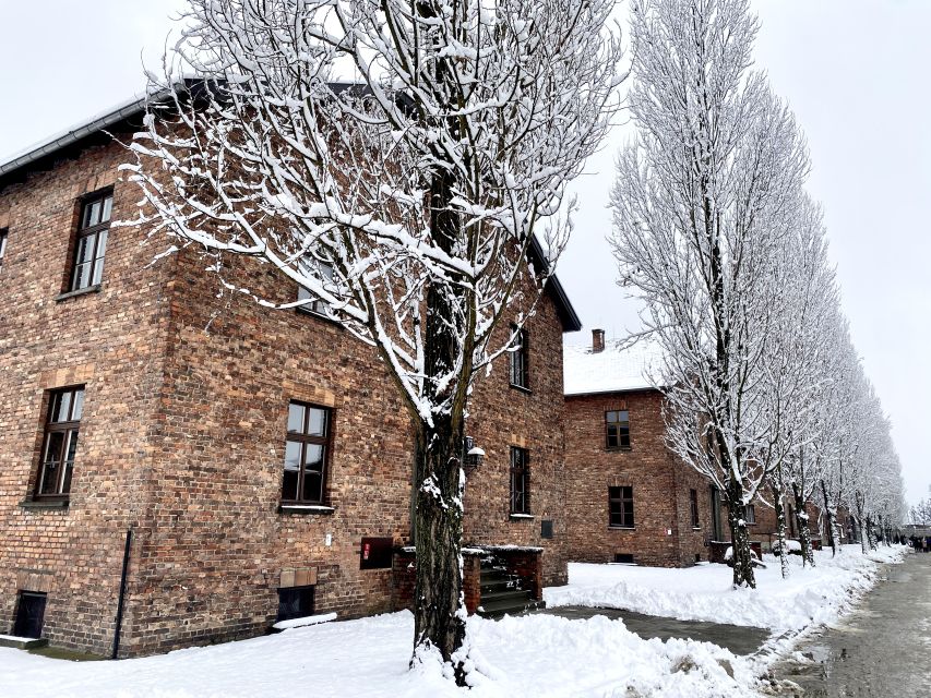 From Wrocław: Full-Day Auschwitz-Birkenau Guided Tour - Auschwitz I: seeing the camp core and the human scale
