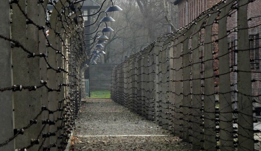 From Wrocław: Full-Day Auschwitz-Birkenau Guided Tour - Birkenau: forced labor and extermination, shown on a different scale