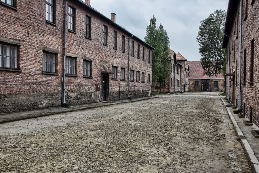 From Wrocław: Full-Day Auschwitz-Birkenau Guided Tour - Special exhibitions: why they’re worth your attention time