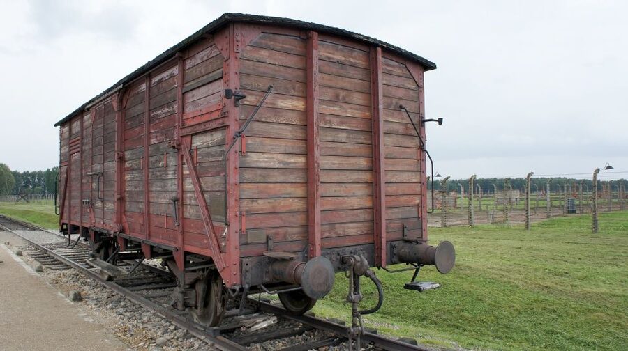 From Wrocław: Full-Day Auschwitz-Birkenau Guided Tour - Practical rules that can affect entry, especially the name match
