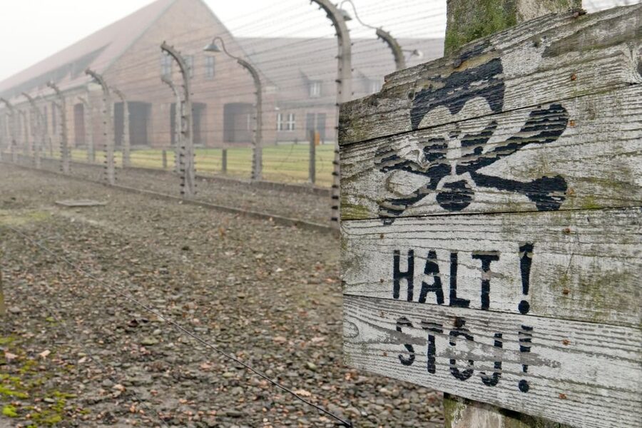 From Wrocław: Full-Day Auschwitz-Birkenau Guided Tour - Who this tour suits, and who may want a different plan