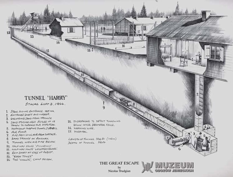 From Wrocław: Stalag Luft 3 Great Escape Tour - Two famous escapes, one camp: how to connect the dots