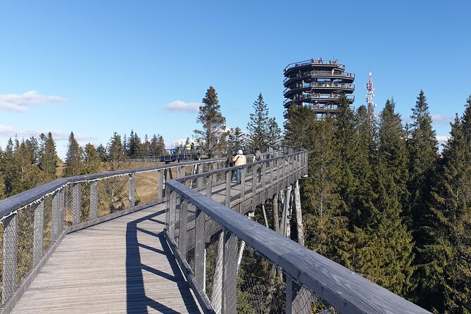 Full-Day Private Tour of Slovakia Treetop Walk and Zakopane - Gubałówka Hill funicular: the view payoff at 1126 meters