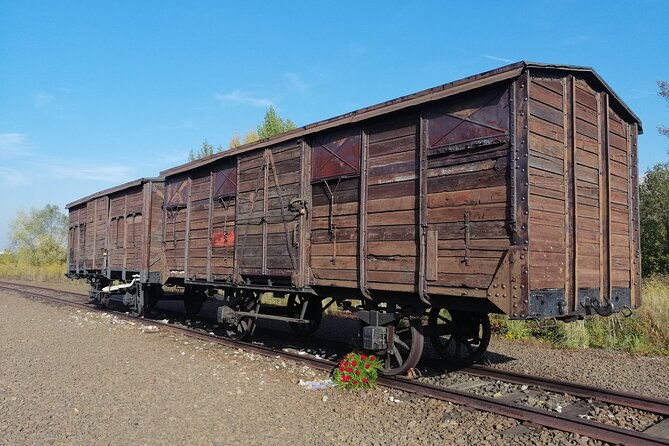 Full-Day Tour From Warsaw to Auschwitz (guided) and Krakow by car - Group Size, Crowds, and the Reality of a 16 to 18 Hour Day