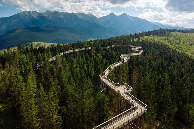 Full-Day Tour of Zakopane and Sky Walk Heart of Poronin - SkyWalk Serce Poronina: an easy treetop walk with real height