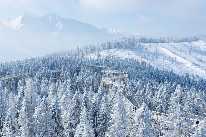 Full-Day Tour of Zakopane and Sky Walk Heart of Poronin - Zakopane time: Krupówki Street and a quick taste of mountain culture