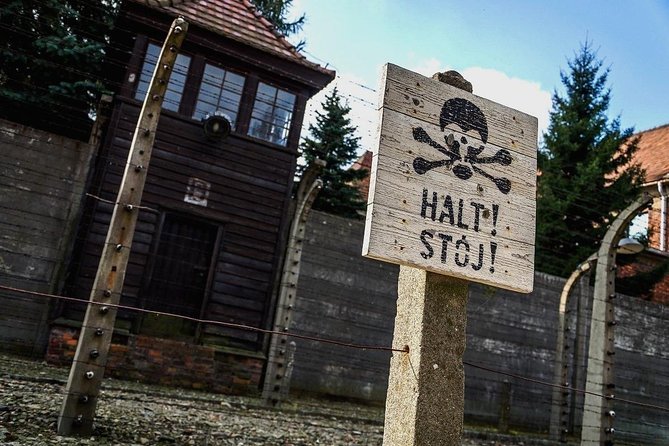 Full day tour to Auschwitz-Birkenau and Salt Mine with a local guide from Krakow - How the day runs: early pickup to Salt Mine tunnels
