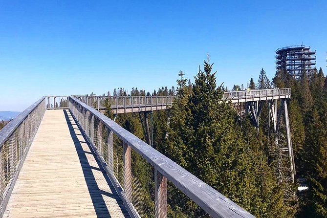 Full-Day Zakopane and Slovakia Treetop Walk From Krakow - Krupowki Street: Your Free Time in Zakopane