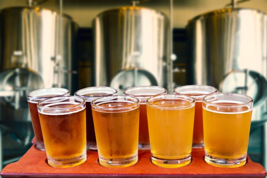 Gdansk Private Polish Beer Tasting Tour at Best Pubs & Bars - Who should book this Gdansk Polish beer tasting?