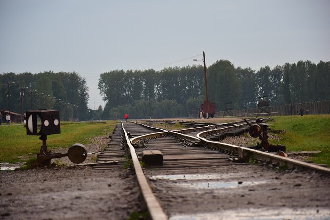 Guided Tour Krakow to Auschwitz-Birkenau with pickup options - Pickup from Krakow: the part that can make or break your day