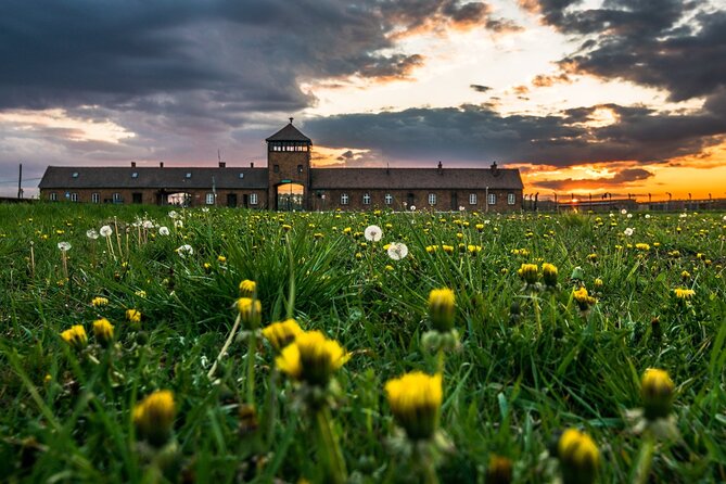 Guided Tour Krakow to Auschwitz-Birkenau with pickup options - Transport and group size: what comfort looks like on this route