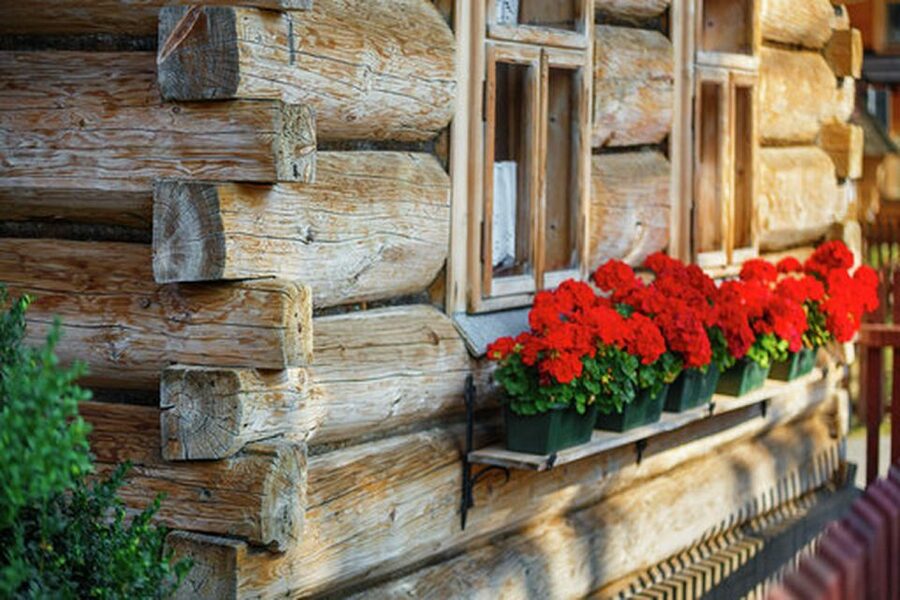 Horse Sleigh 2-3h Ride with Hot Springs or Zakopane Combos - Practical tips to make the day smoother