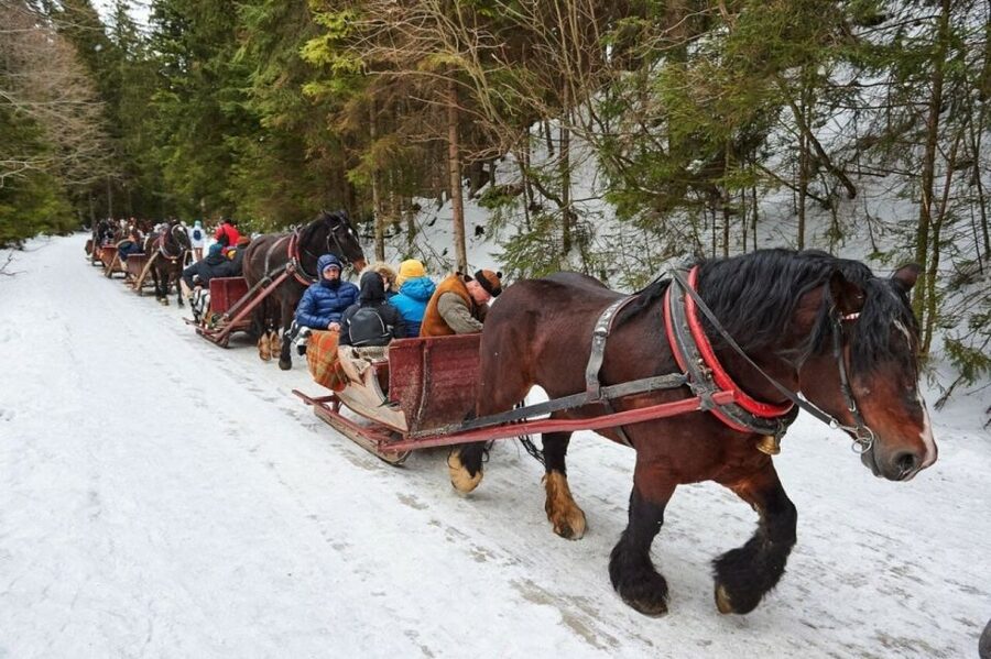 Horse Sleigh 2-3h Ride with Hot Springs or Zakopane Combos - Getting picked up and staying comfortable on a long winter loop
