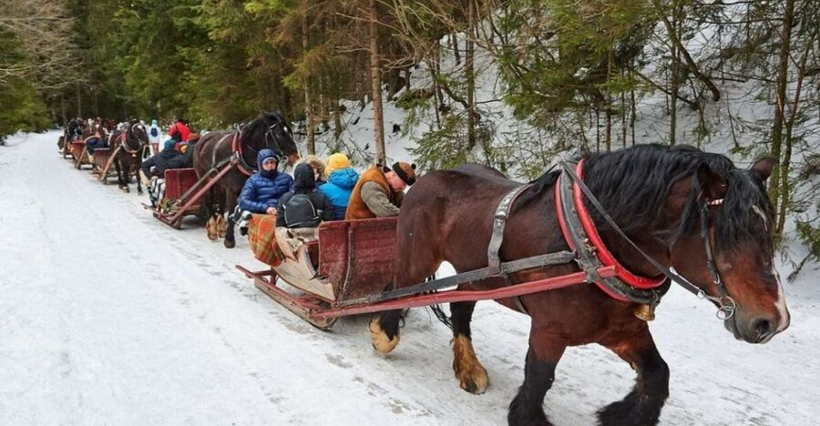 Horse Sleigh 2-3h Ride with Hot Springs or Zakopane Combos - Krupowki street in Zakopane: your walkable break for food, shopping, and atmosphere