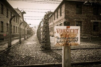 Krakow and Auschwitz Small Group Tour from Warsaw with Lunch