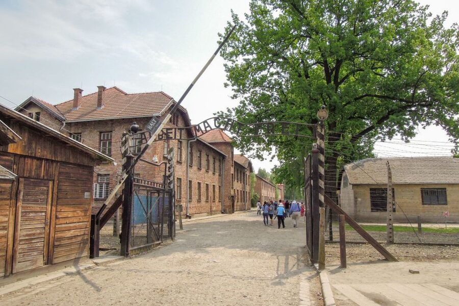 Krakow: Auschwitz and Wieliczka Salt Mine Combo Tour - Key things I’d lock in before you book