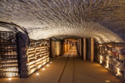 Auschwitz-Birkenau and Salt Mine Guided Tour