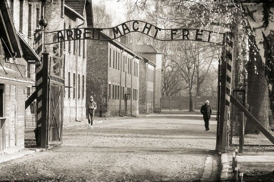 Krakow: Auschwitz-Birkenau and Salt Mine Guided Tour - Price and value: what you really get for about $54