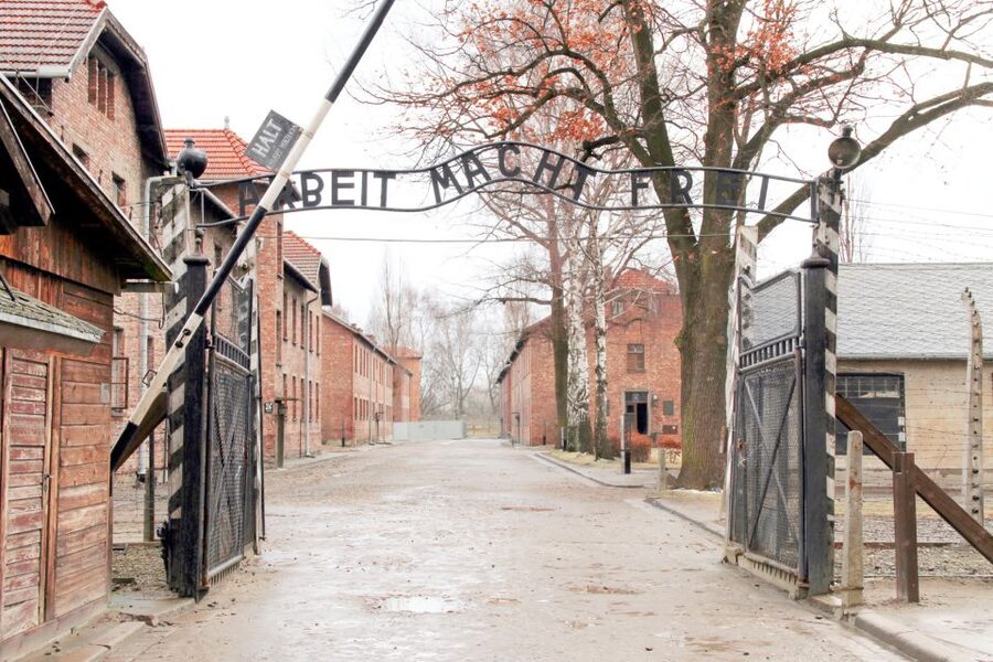 Krakow: Auschwitz-Birkenau and Salt Mine Guided Tour - What to pack, wear, and do with luggage limits