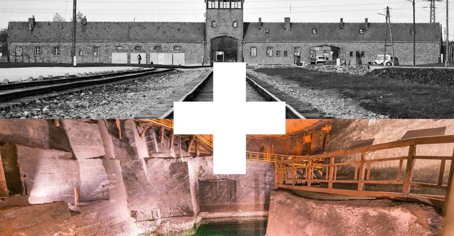 Krakow: Auschwitz-Birkenau and Salt Mine Guided Tour - Who should book this tour, and who might want a different plan