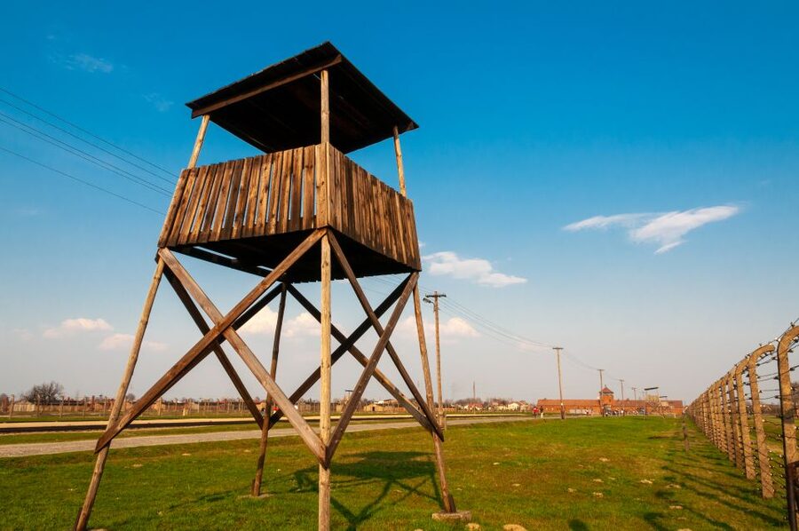 Krakow: Auschwitz-Birkenau and Wieliczka Salt Mine Day Trip - Who this Krakow day trip fits best, and who should skip it