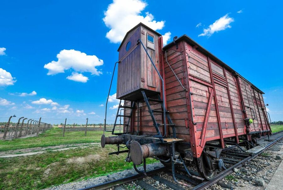 Krakow: Auschwitz-Birkenau and Wieliczka Salt Mine Day Trip - Booking must-knows: names, bags, and ID checks
