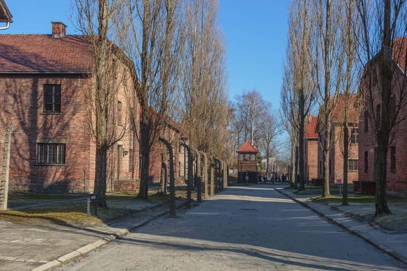 Krakow: Auschwitz-Birkenau Entry Ticket and Transfer - Key takeaways