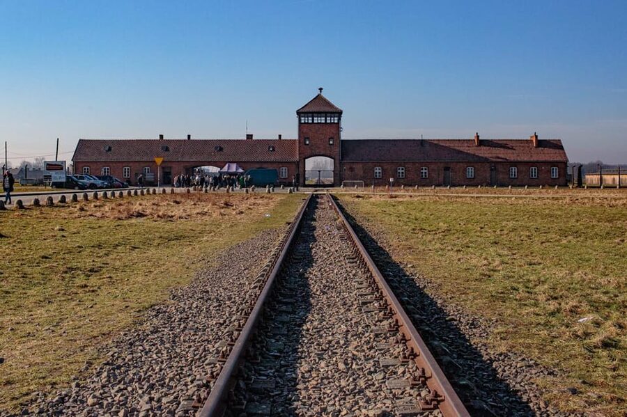 Krakow: Auschwitz-Birkenau Entry Ticket and Transfer - How the tour pacing works, breaks, walking, and attention spans