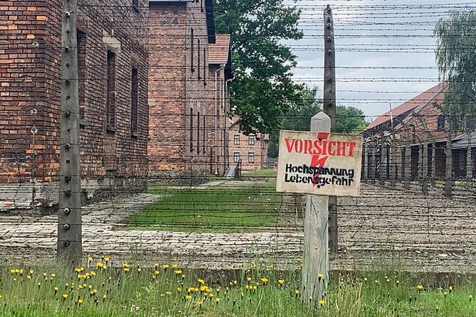 Krakow: Auschwitz-Birkenau Guided Tour & Hotel Pick Up - Who This Tour Suits Best in Krakow