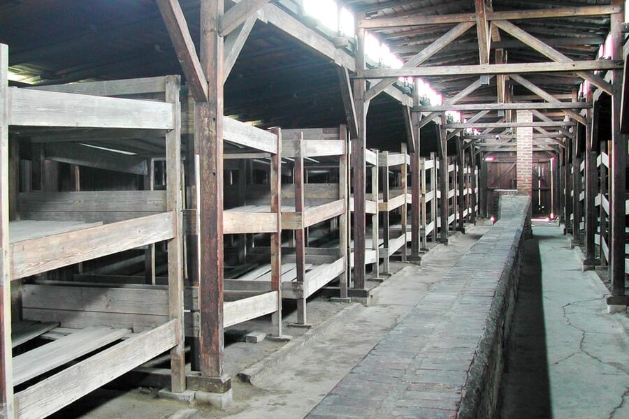 Krakow: Auschwitz-Birkenau Guided Tour or Self-Guided Tour - Key things to know before you go