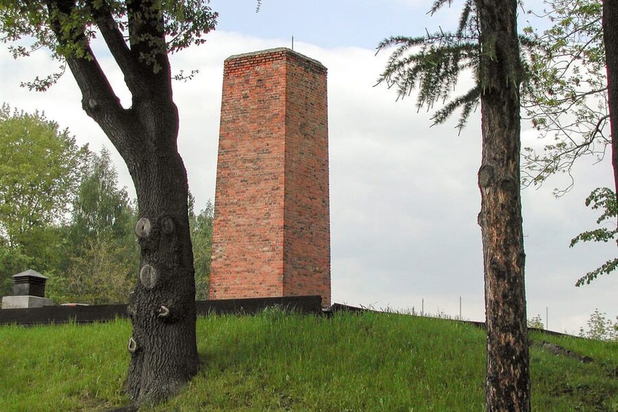 Krakow: Auschwitz-Birkenau Guided Tour or Self-Guided Tour - Who this tour makes the most sense for