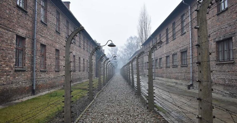 Krakow: Auschwitz-Birkenau Guided Tour or Self-Guided Tour - Guided museum explanations vs self-guided pace