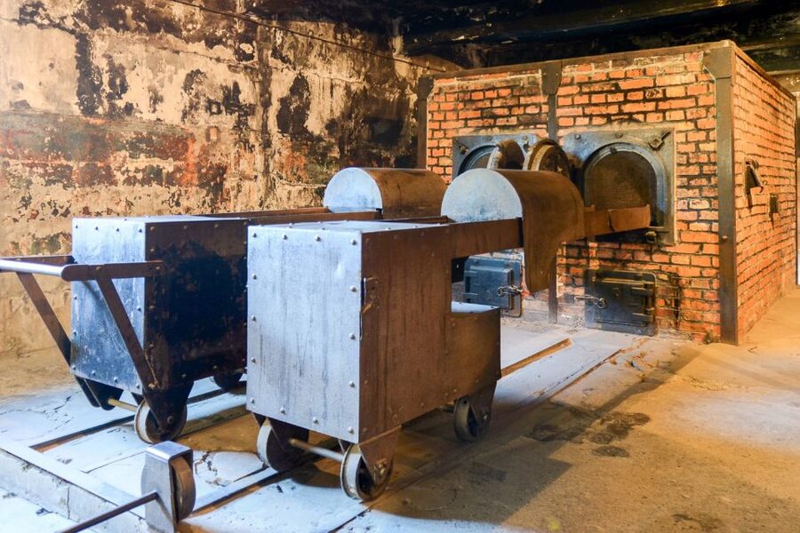 Krakow: Auschwitz-Birkenau Guided Tour or Self-Guided Tour - Transportation, pickup, and timing you should plan for like a pro