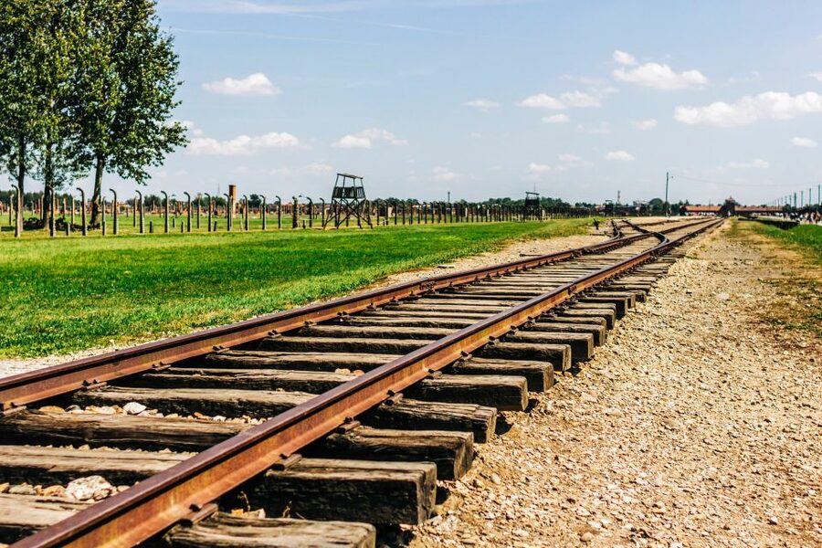 Krakow: Auschwitz-Birkenau Live Guided Tour & Hotel Pickup - Birkenau II: seeing mass extermination on a brutal scale