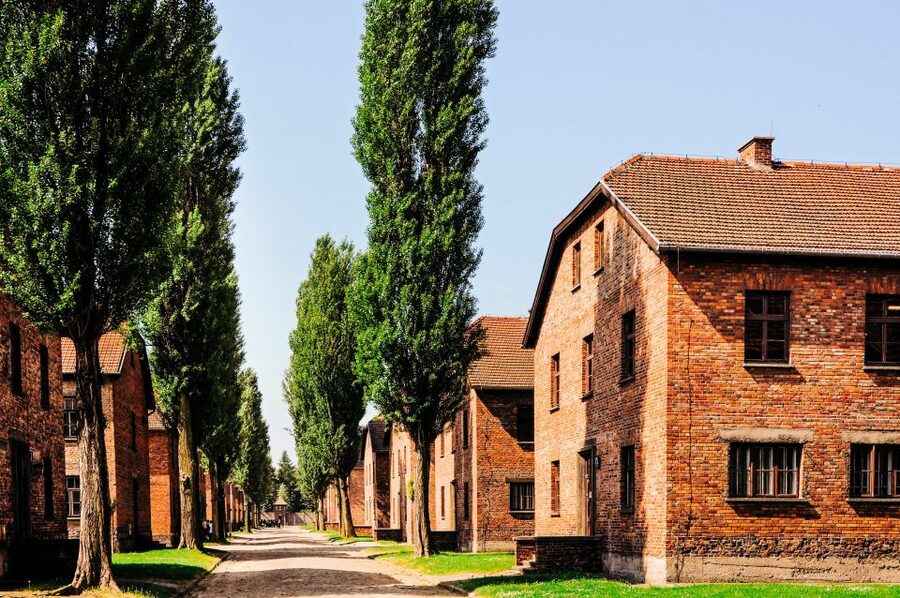 Krakow: Auschwitz-Birkenau Live Guided Tour & Hotel Pickup - Skip-the-line access and the value of an official route