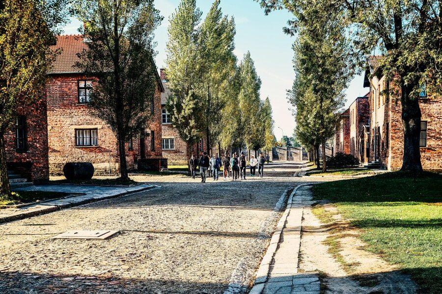 Krakow: Auschwitz-Birkenau Live Guided Tour & Hotel Pickup - Who should book, and who should think twice