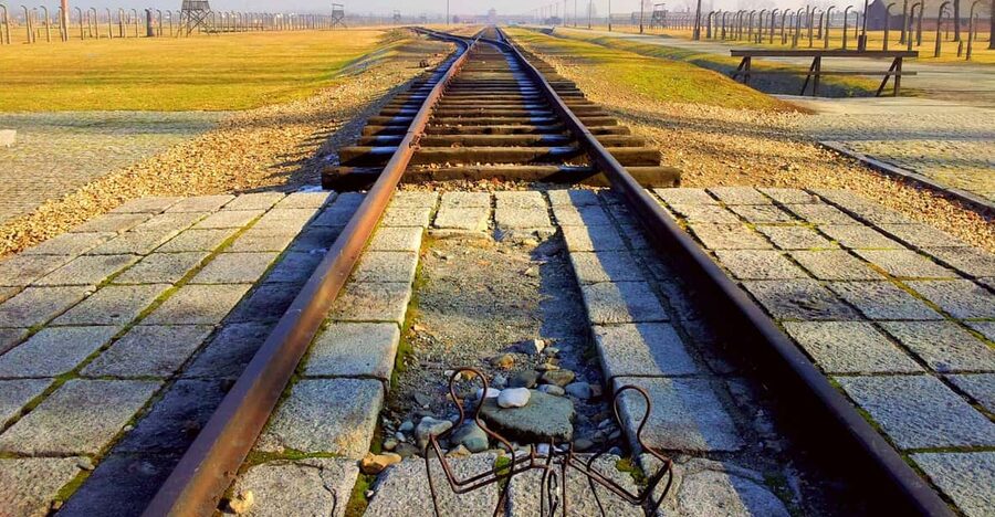 Krakow: Auschwitz-Birkenau Memorial Tour with Optional Lunch - Who This Tour Suits Best (and Who Should Skip It)