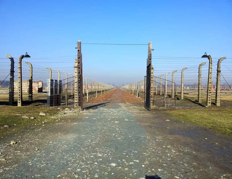 Krakow: Auschwitz-Birkenau Memorial Tour with Optional Lunch - From Krakow to Auschwitz, the Day Moves Fast