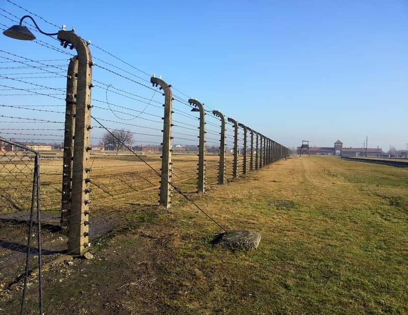 Krakow: Auschwitz-Birkenau Memorial Tour with Optional Lunch - Headsets, Interpretation, and the Included eBook