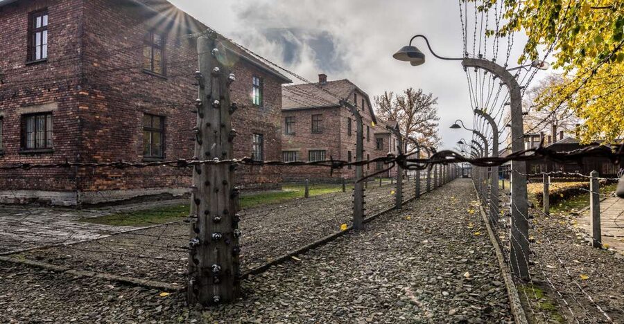 Kraków: Auschwitz-Birkenau & Salt Mine Full-Day Guided Tour - Key highlights to know before you go