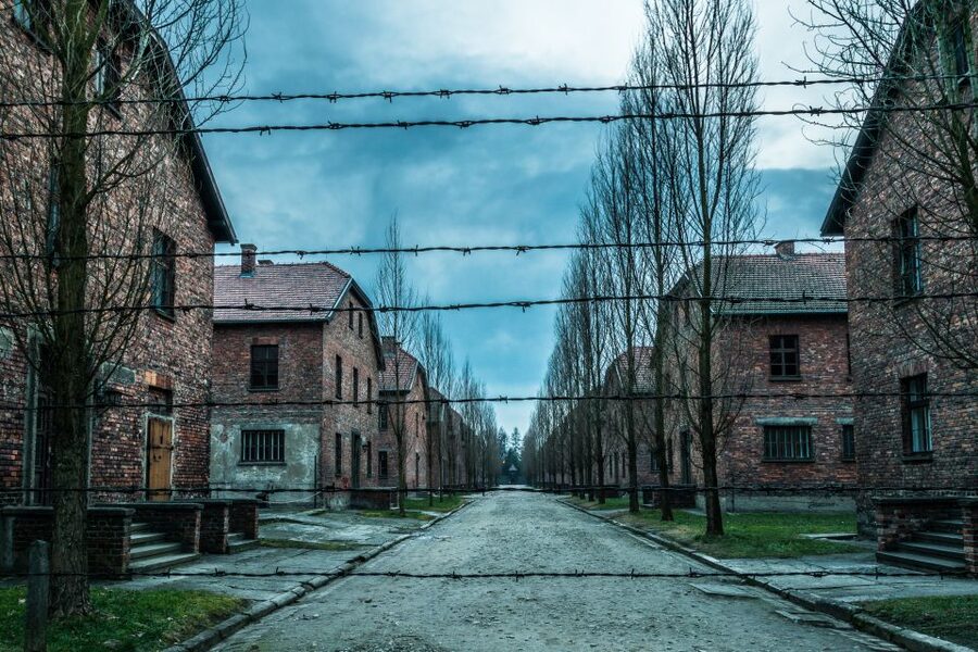 Kraków: Auschwitz-Birkenau & Salt Mine Full-Day Guided Tour - Who should book, and who should skip this day trip