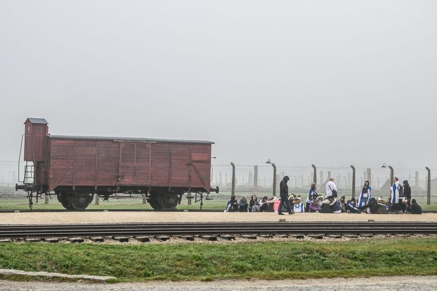 Kraków: Auschwitz-Birkenau & Salt Mine Full-Day Guided Tour - Lunch break and the shift to Wieliczka’s underground world