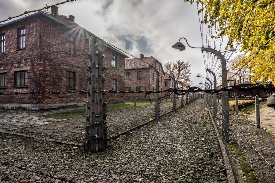 Kraków: Auschwitz-Birkenau & Salt Mine Full-Day Guided Tour - Wieliczka Salt Mine to chapels and statues: the walk-through that feels like an art show