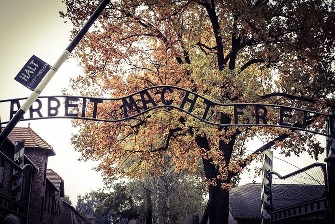 Krakow: Auschwitz-Birkenau Shared English Tour and Transfer - Ticket handling and what you should confirm before you leave