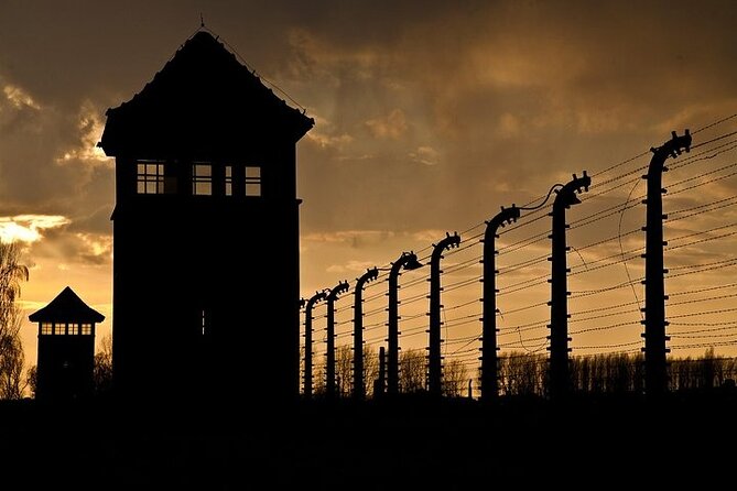 Krakow: Auschwitz-Birkenau Tour & Museum Expert Guide - Oswiecim pause: where the day gets real
