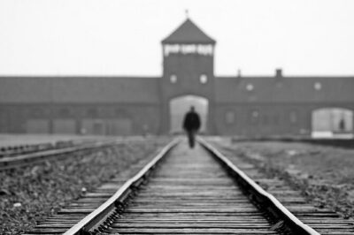 Auschwitz-Birkenau Tour & Museum Expert Guide