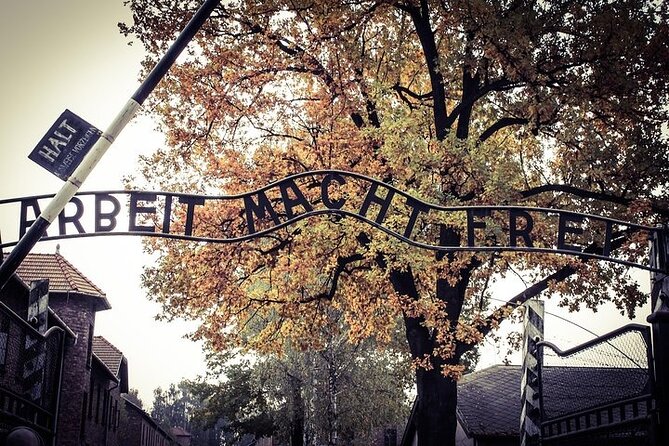 Krakow: Auschwitz-Birkenau Tour & Museum Expert Guide - The short break into Birkenau: timing gets tight