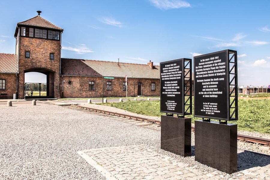 Krakow: Auschwitz-Birkenau & Wieliczka Salt Mine Day Tour - How the 11-hour day runs, pickup to return